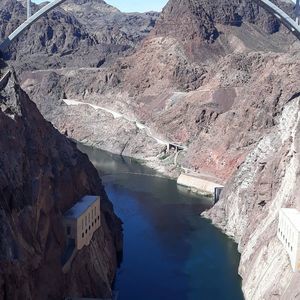 Meet your Posher, Tyson